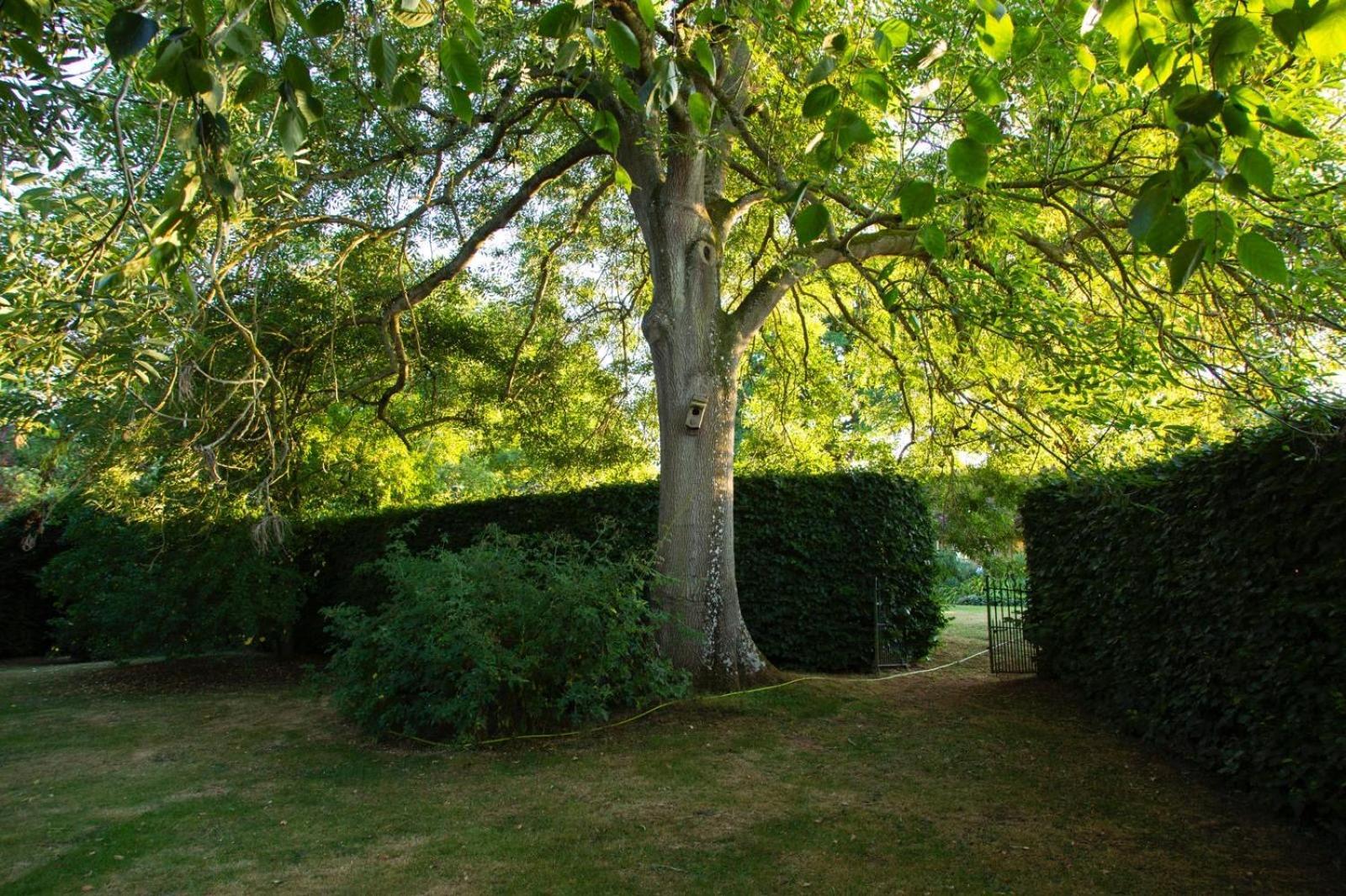 Ebony Cottage Tenbury Exterior foto